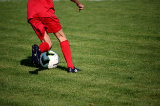 AC Milan-篮球专项技能训练课程体系设计,篮球专项素质训练教案